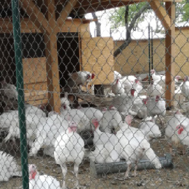 Screenshot 2022-06-13 at 09-04-06 energywater_referencie_BG_web